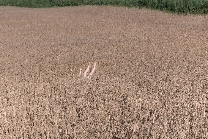 A photographer creates surreal images of a person upside down in a vast field, only their legs visible. Everyday places.