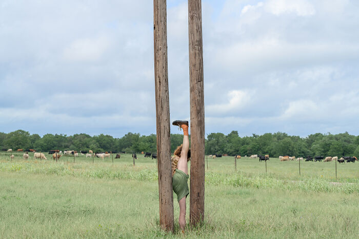 Surreal images: A person stretches between two wooden poles in a grassy field with cattle, making an everyday scene feel uncanny.