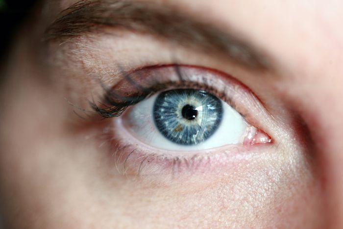 Close-up of a human eye with a pupil, showing what happens during a routine eye exam. Close-up of a human eye with a pupil, showing what happens during a routine eye exam.