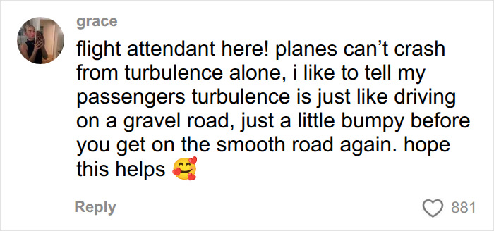 A social media comment from a flight attendant explaining that planes cant crash from turbulence alone. A social media comment from a flight attendant explaining that planes cant crash from turbulence alone.