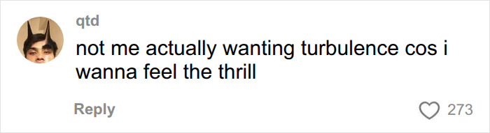 A social media comment from a user wanting to experience turbulence for the thrill. A social media comment from a user wanting to experience turbulence for the thrill.