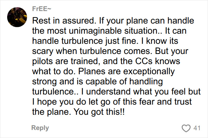 A comment assuring that planes can handle turbulence, with pilots trained to manage difficult flights. A comment assuring that planes can handle turbulence, with pilots trained to manage difficult flights.