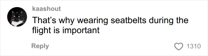 A comment emphasizing the importance of seatbelts during flights for safety, especially with increased turbulence. A comment emphasizing the importance of seatbelts during flights for safety, especially with increased turbulence.