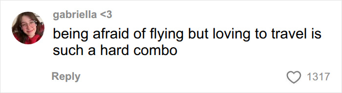 A comment about the hard combo of fearing flying but loving travel, reflecting concerns about turbulence. A comment about the hard combo of fearing flying but loving travel, reflecting concerns about turbulence.
