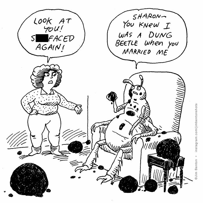 A New Yorker cartoon illustrates a woman confronting her dung beetle husband, humorously capturing everyday absurdity.