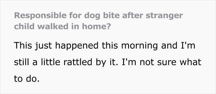 Screenshot of text asking if responsible for a dog bite after a stranger child walked in home, a dog owner's worst nightmare. Screenshot of text asking if responsible for a dog bite after a stranger child walked in home, a dog owner's worst nightmare.