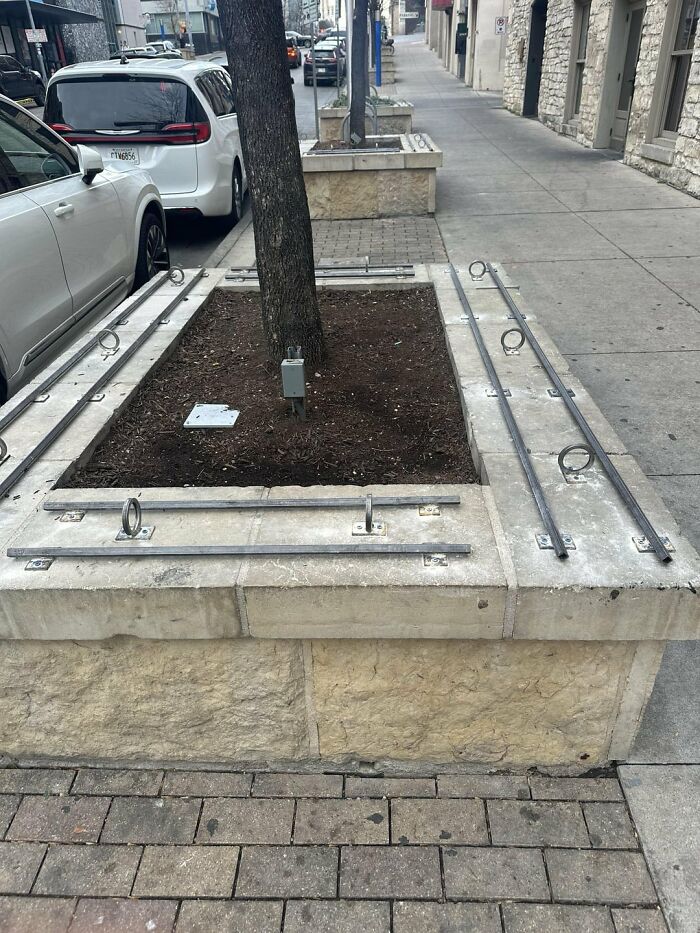 A tree planter box with metal bars and rings installed by urban designers, making it uncomfortable for people to sit.