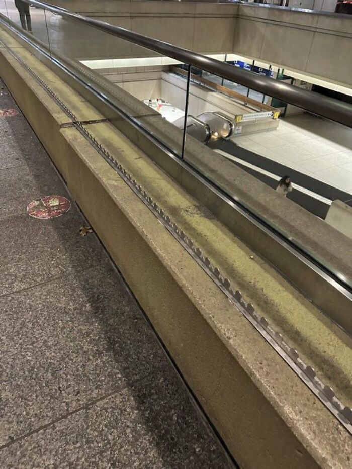 An escalator with sharp spikes along the side, showing urban designers forgot peoples comfort and happiness.