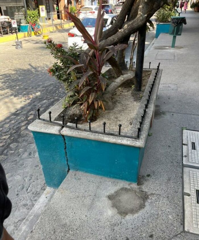 Spikes around a planter, illustrating urban designers neglecting people's comfort.