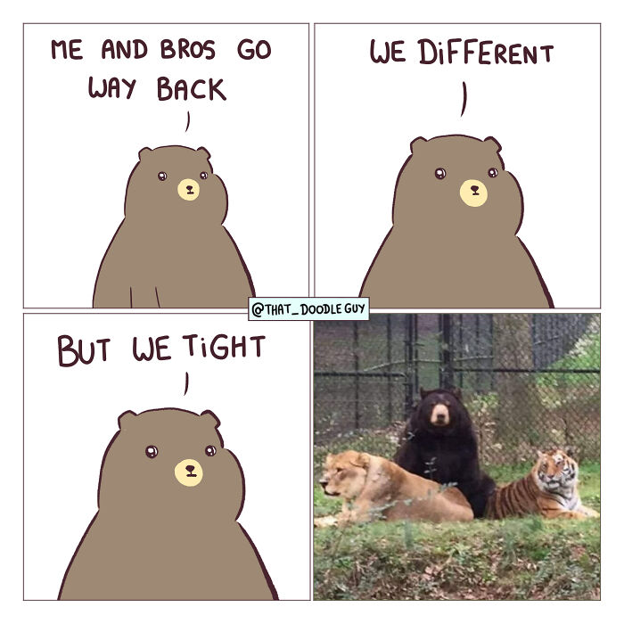 This Artist Turns Everyday Animal Moments Into Wholesome Comics That Are Impossible Not To Smile At (20 New Pics)