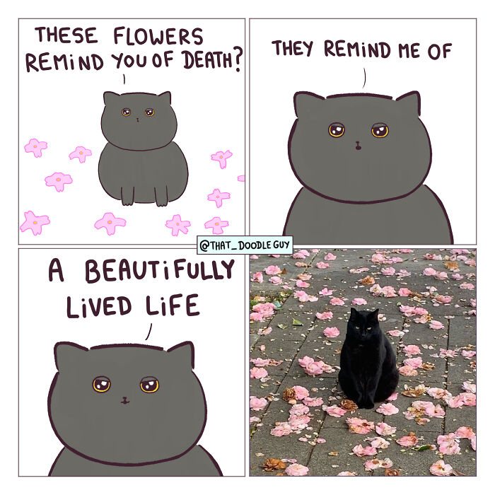 This Artist Turns Everyday Animal Moments Into Wholesome Comics That Are Impossible Not To Smile At (20 New Pics)
