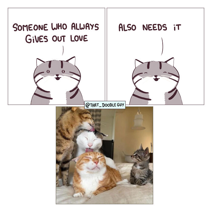 This Artist Turns Everyday Animal Moments Into Wholesome Comics That Are Impossible Not To Smile At (20 New Pics)
