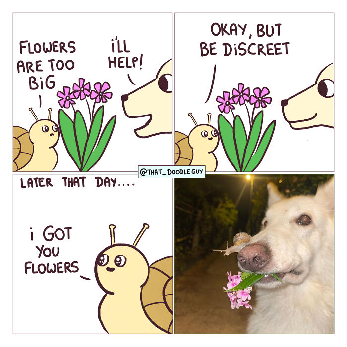 This Artist Turns Everyday Animal Moments Into Wholesome Comics That Are Impossible Not To Smile At (20 New Pics)