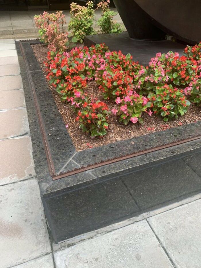 Small red and pink flowers planted in a raised bed, highlighting urban designers overlooking comfort.