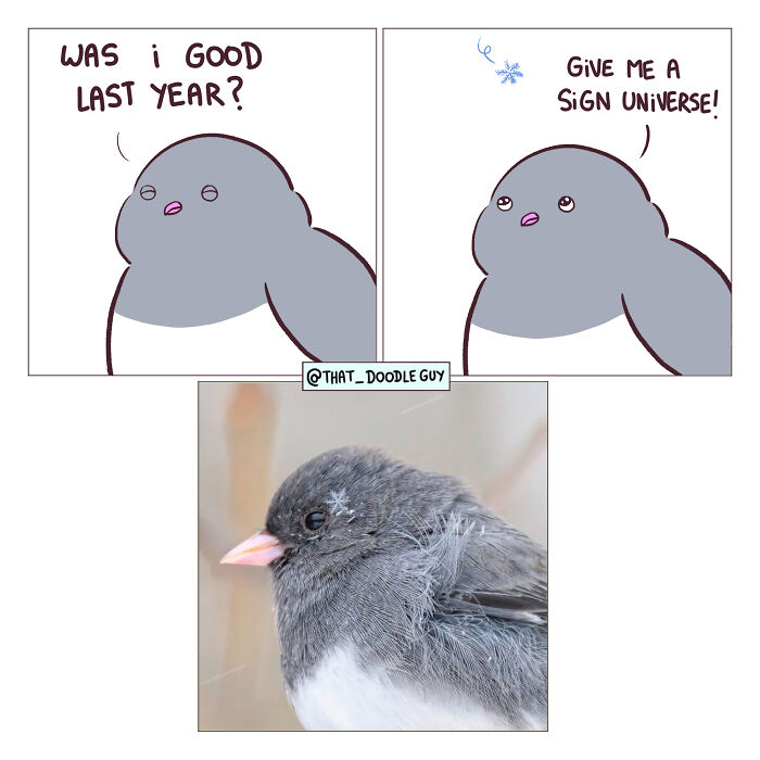 This Artist Turns Everyday Animal Moments Into Wholesome Comics That Are Impossible Not To Smile At (20 New Pics)