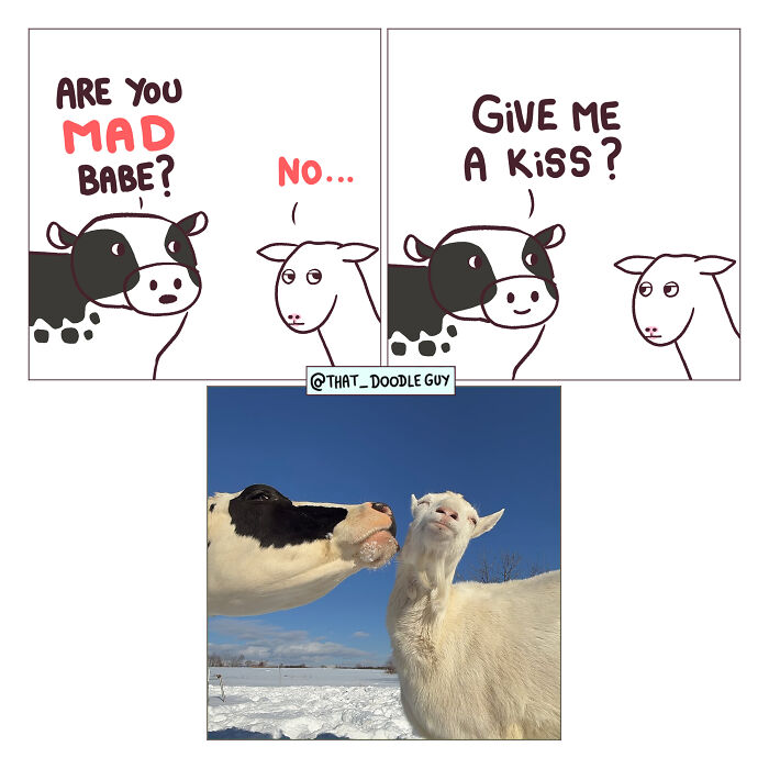 This Artist Turns Everyday Animal Moments Into Wholesome Comics That Are Impossible Not To Smile At (20 New Pics)
