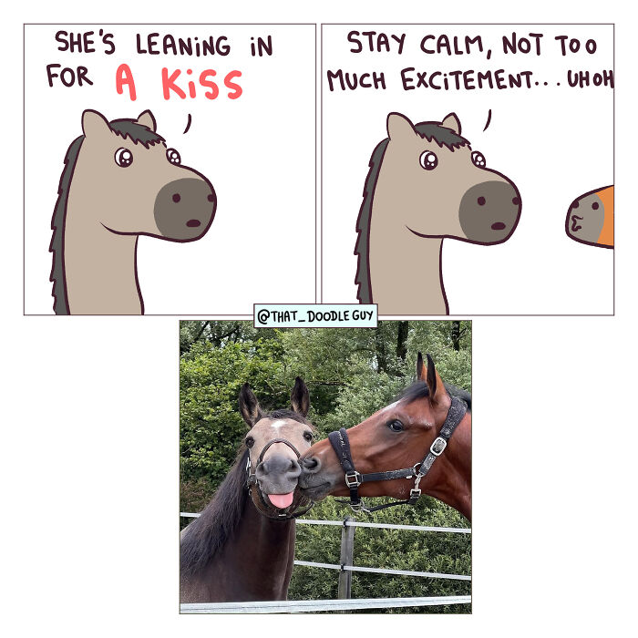 This Artist Turns Everyday Animal Moments Into Wholesome Comics That Are Impossible Not To Smile At (20 New Pics)