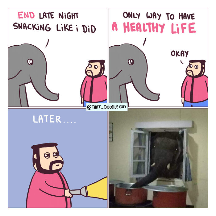 This Artist Turns Everyday Animal Moments Into Wholesome Comics That Are Impossible Not To Smile At (20 New Pics)