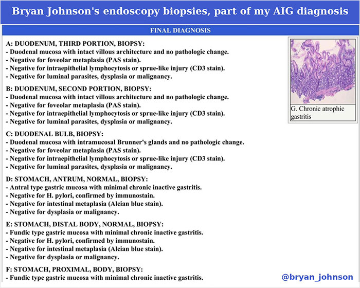 Detailed medical report showing Bryan Johnson's dreadful diagnosis, part of his meticulous health regimen findings. Detailed medical report showing Bryan Johnson's dreadful diagnosis, part of his meticulous health regimen findings.
