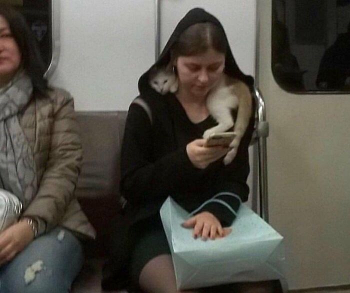 Woman on subway with a small cat, a silly animal, peeking from her hoodie.