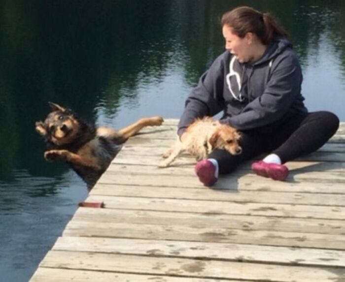 A woman on a dock with two dogs, one looking about to fall in the water, a hilarious photo taken moments before disaster struck.