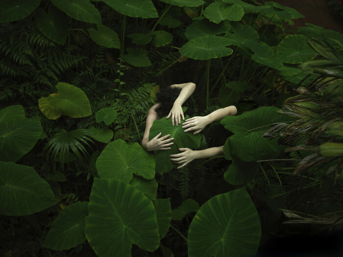 Hands are reaching around a large green leaf, creating surreal photos of a subject surrounded by lush foliage.
