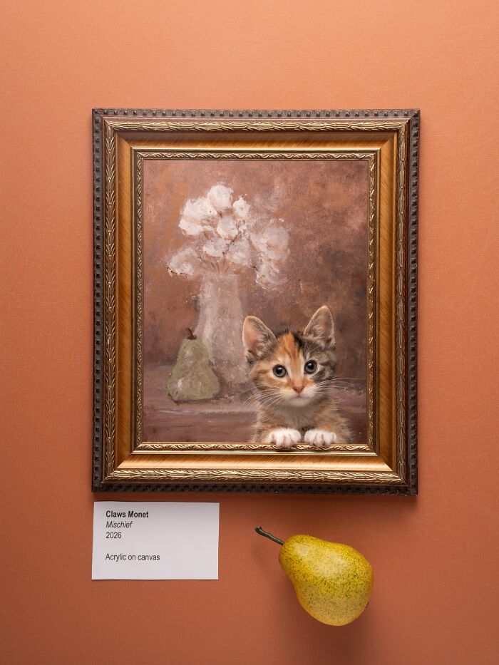 A kitten peeking out of a framed pet photography image, with a pear beside it, from the International Pet Photography Awards.