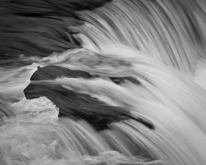 Award-winning photographer captures a silhouette of a bear within a mesmerizing wildlife moment of a waterfall.