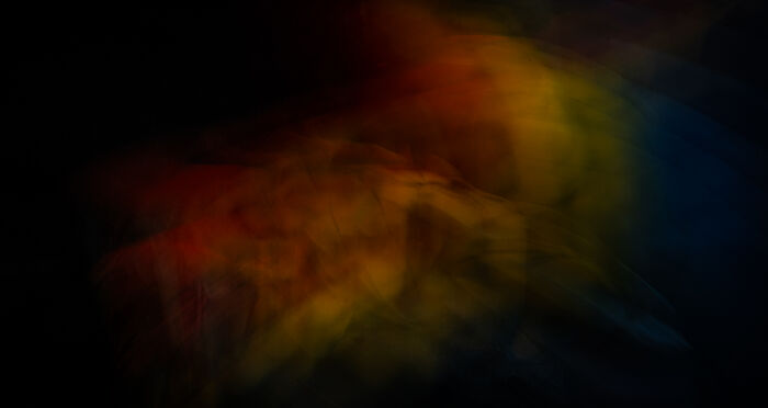 Mesmerizing wildlife moment: An abstract image showcasing vibrant colors, captured by an award-winning photographer.