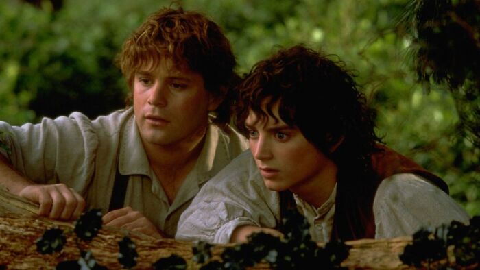 Hollywood Star in a $3 Billion Franchise; two actors peeking over a log, one with curly brown hair, the other with darker hair.