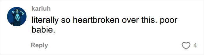 A user expresses heartbreak over Kaylee Hottle's fatal crash in a comment. A user expresses heartbreak over Kaylee Hottle's fatal crash in a comment.