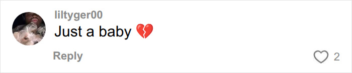 A social media comment with a broken heart emoji, mourning Godzilla actress Kaylee Hottle after her fatal crash. A social media comment with a broken heart emoji, mourning Godzilla actress Kaylee Hottle after her fatal crash.