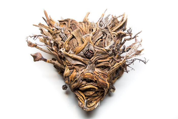 Captivating wood sculpture of a face with flowing hair-like elements, artfully constructed from collected wood pieces.