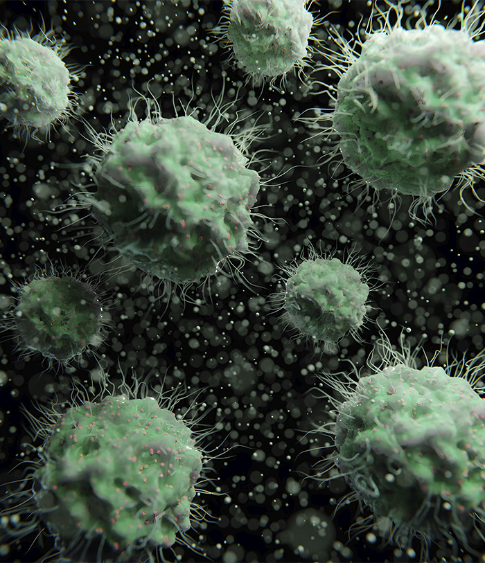 Microscopic view of a virus, representing the danger that led to the Canadian boy's tragic loss of life after a bat encounter. Microscopic view of a virus, representing the danger that led to the Canadian boy's tragic loss of life after a bat encounter.
