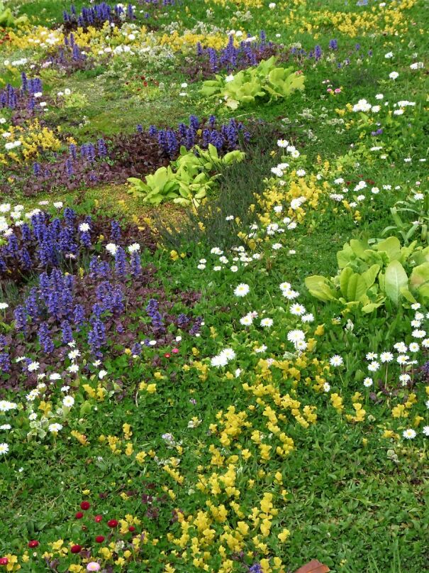 Tapestry-lawn-image-3-min-900x1200-1.jpg