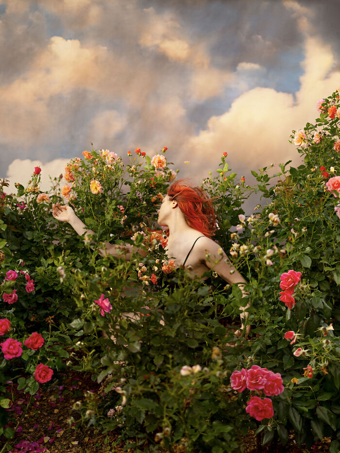 Surreal photos of a person with red hair, in a black top, among blooming rose bushes under a cloudy sky.