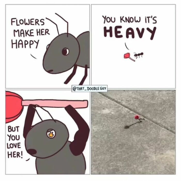 This Artist Turns Everyday Animal Moments Into Wholesome Comics That Are Impossible Not To Smile At (20 New Pics)