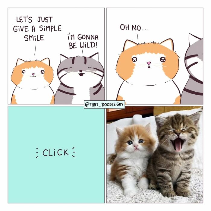 This Artist Turns Everyday Animal Moments Into Wholesome Comics That Are Impossible Not To Smile At (20 New Pics)