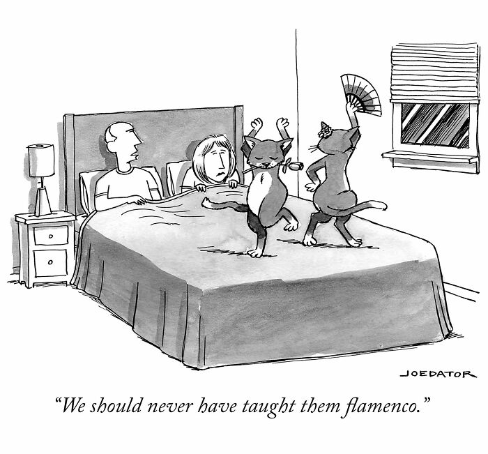 A brilliant single panel cartoonist drawing of two cats dancing flamenco on a bed while a couple watches, illustrating everyday absurdity.