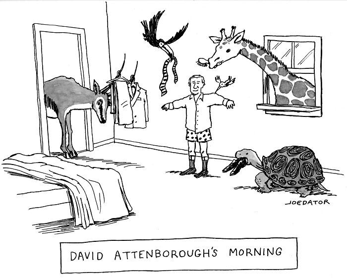 A brilliant single panel cartoon showing David Attenborough's morning routine with various wild animals.