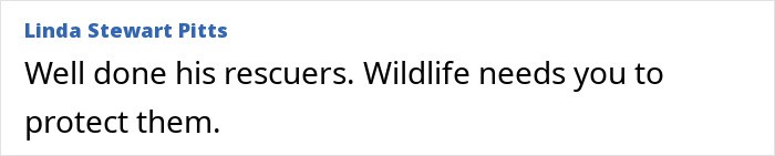 A comment praising rescuers regarding the tragic update in the viral story of a bear found stuck. A comment praising rescuers regarding the tragic update in the viral story of a bear found stuck.