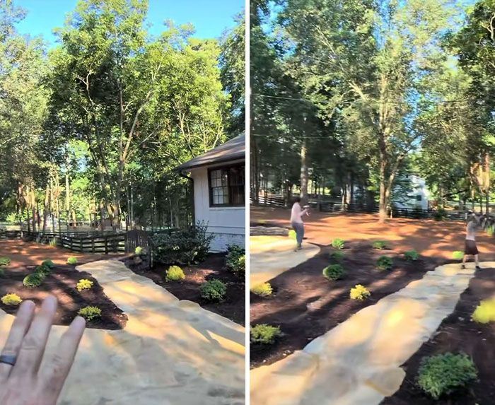 A before-and-after split image showing a landscaper's revenge: a path leading to a house, with plants removed in the right panel. A before-and-after split image showing a landscaper's revenge: a path leading to a house, with plants removed in the right panel.