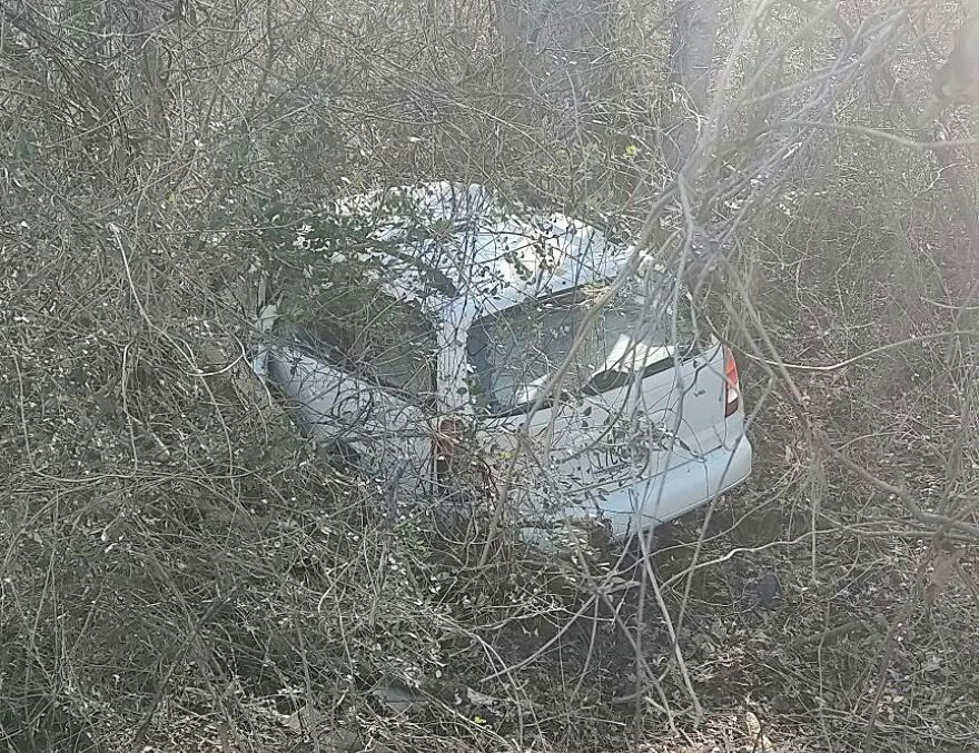 A small silver car completely engulfed by thick brush and trees, a rough day behind the wheel.