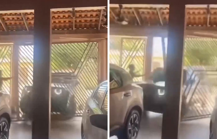 Crazed revenge plot: Car driving through an open gate, related to a medical student's fatal plot.
