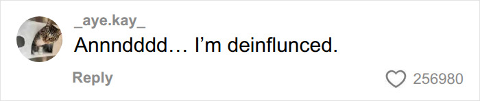 A comment on social media about breast implants: Annndddd... I'm deinflunced. A comment on social media about breast implants: Annndddd... I'm deinflunced.