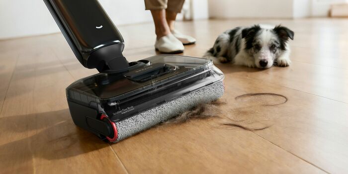 A vacuum cleaning pet hair on a wooden floor, indicating a well-maintained home for guests.