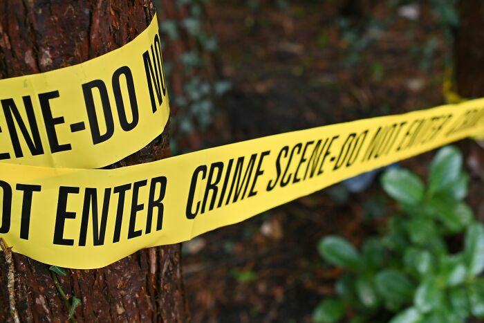 Yellow crime scene tape wrapped around a tree in a forest, marking an area in someone's home guests would never return to.