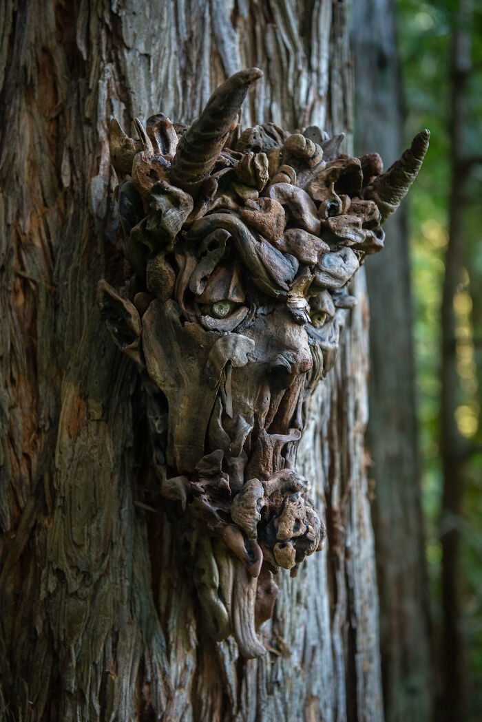 A stunning sculpture of a horned creature's face made from collected pieces of wood, attached to a tree trunk.