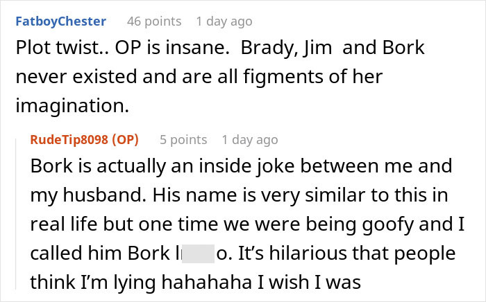 A screenshot of a Reddit comment suggesting the OP is insane and the GF's friends are figments of imagination.