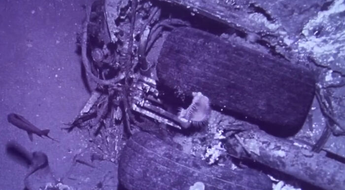 Debris from the Pan Am plane that crashed in 1952, showing wreckage at the bottom of the sea. Debris from the Pan Am plane that crashed in 1952, showing wreckage at the bottom of the sea.